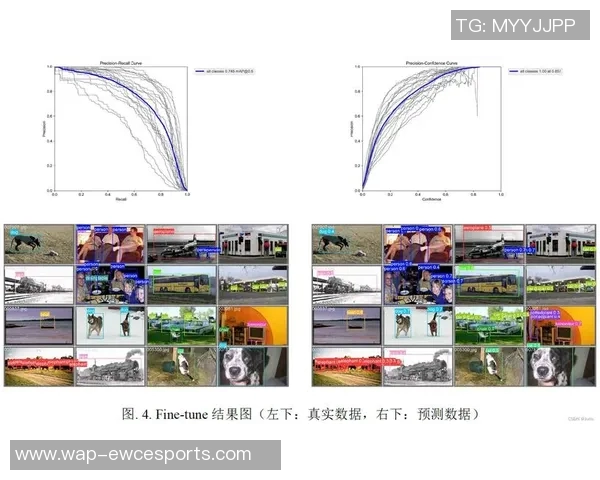 数据分析V5的强大功能与实际应用效果深度探讨